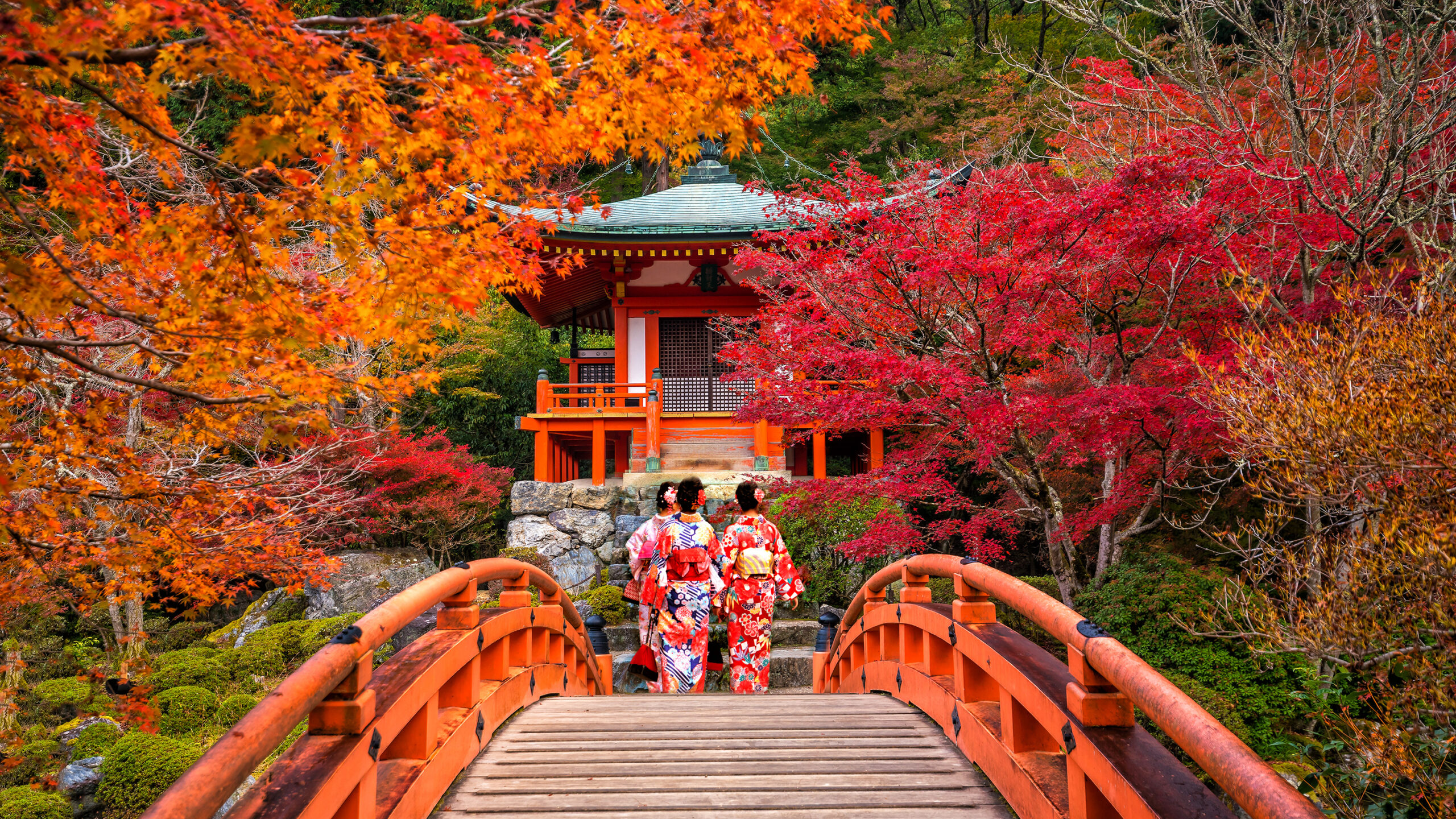 JH STUDIO provides private tour service.